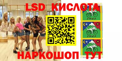 Альфа ПВП Сланцы