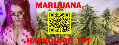 Альфа ПВП Сланцы