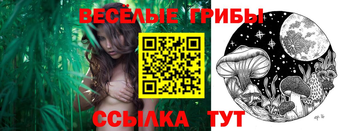 Галлюциногенные грибы Magic Shrooms  Вход с VPN  Псилоцибиновые грибы мицелий  Москва 