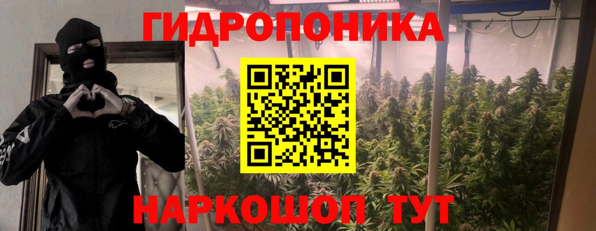 Конопля планчик Москва